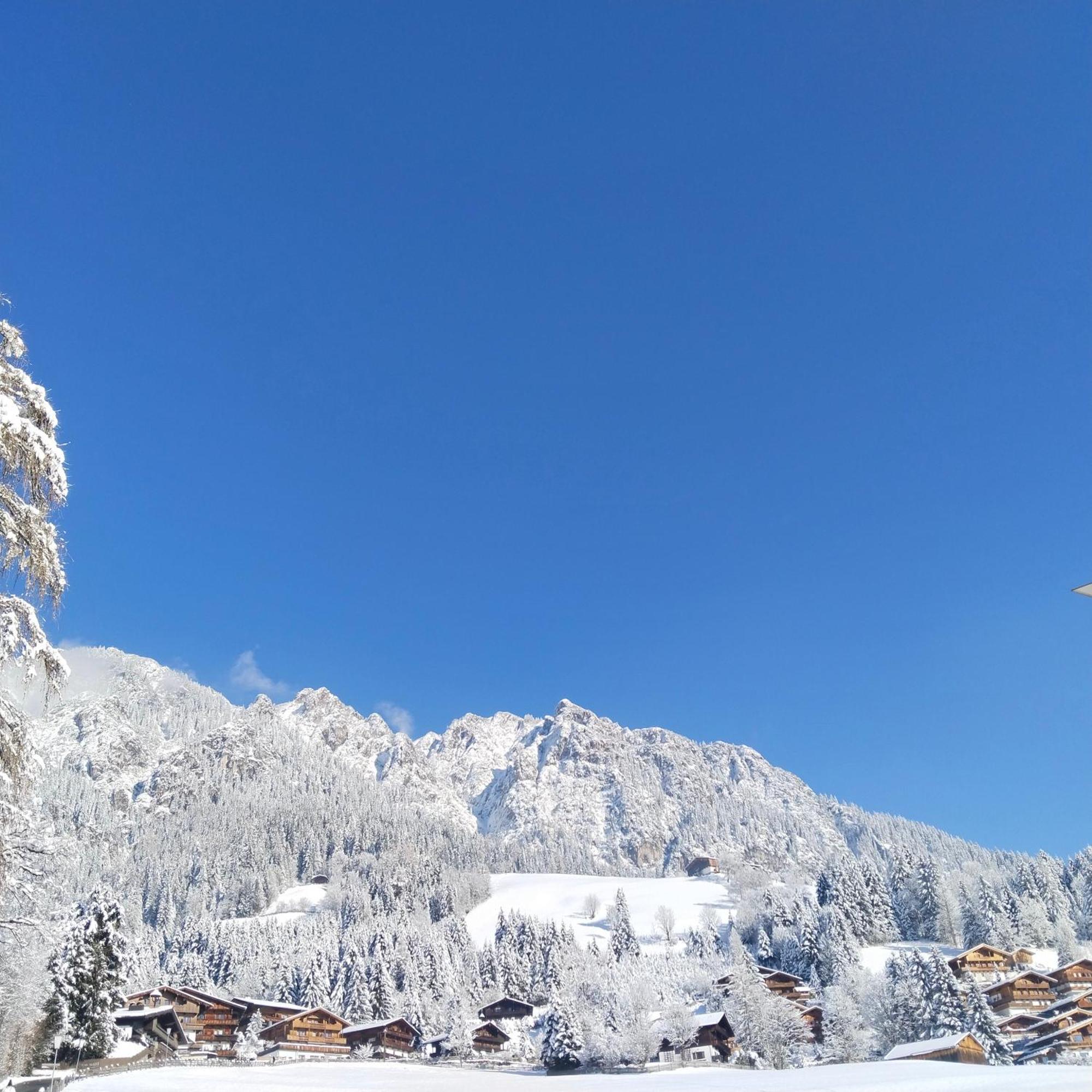 Alpbachblick Leilighet Eksteriør bilde