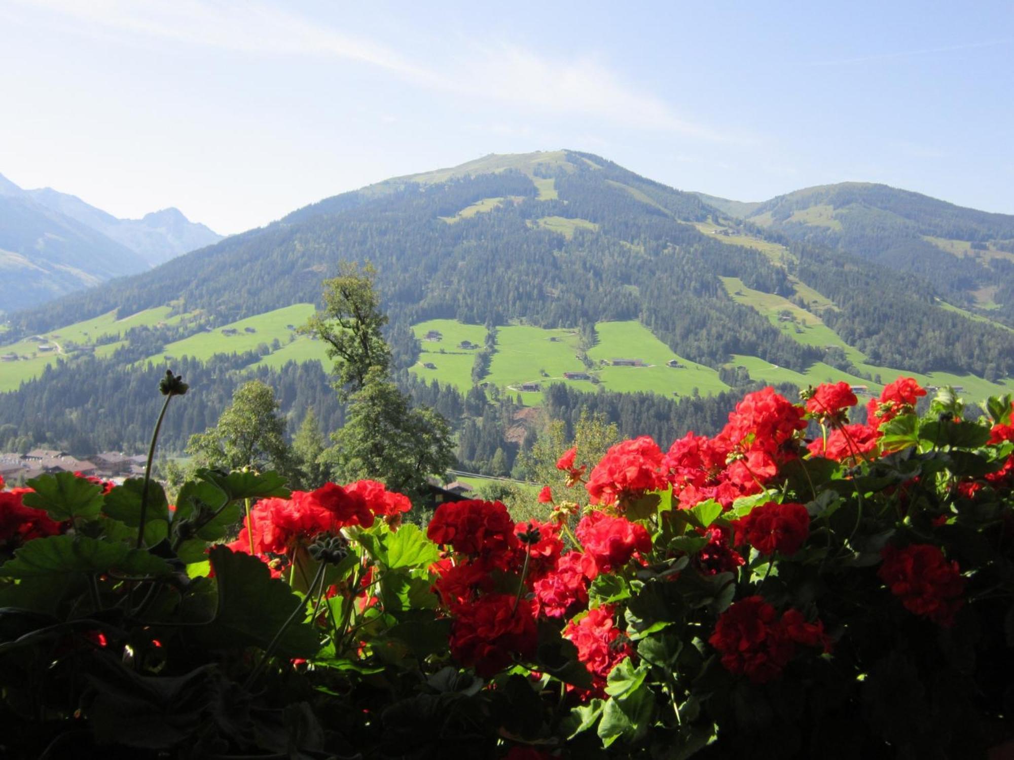 Alpbachblick Leilighet Eksteriør bilde