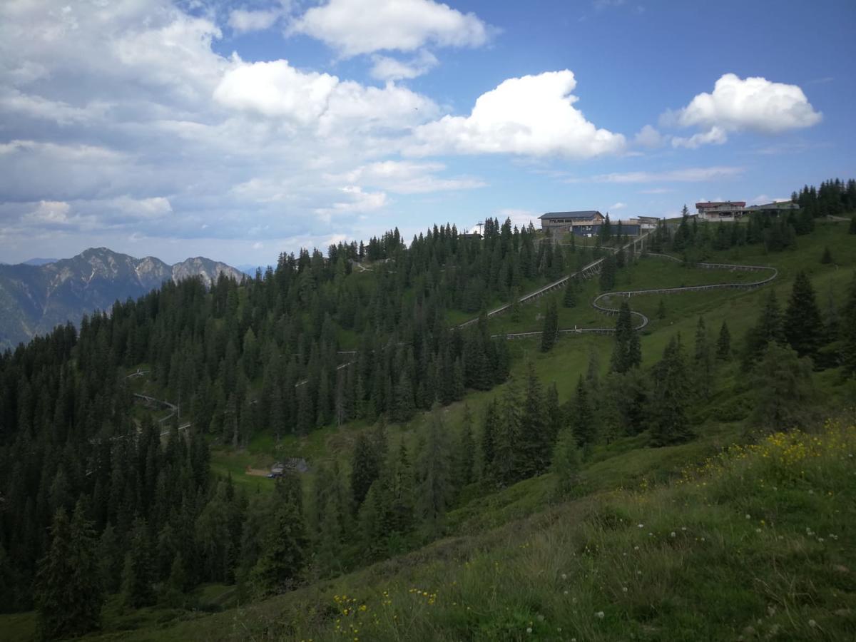 Alpbachblick Leilighet Eksteriør bilde